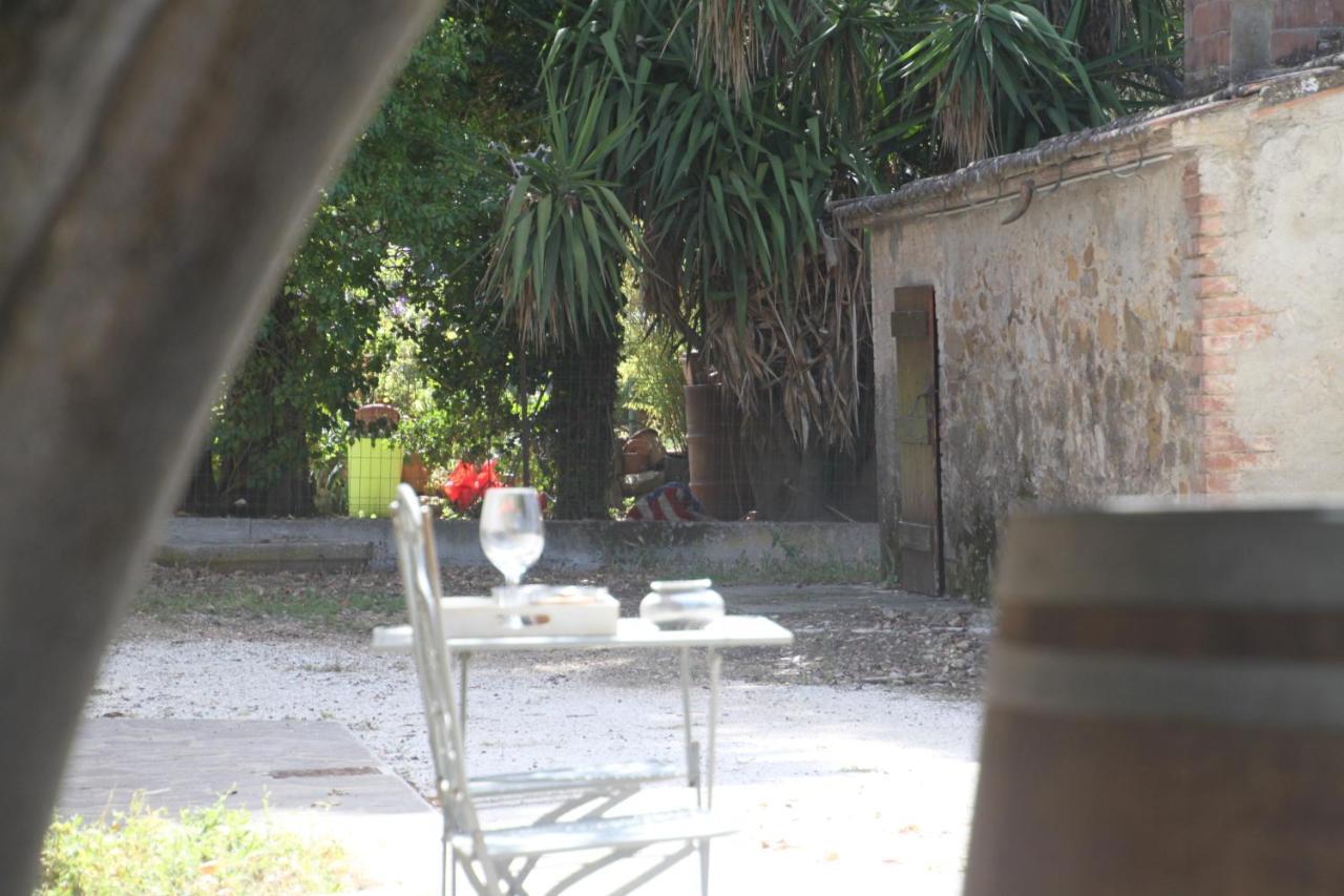 Agriturismo Il Broletto Суверето Экстерьер фото
